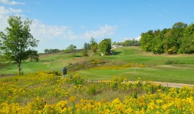 Bellmere Winds Golf Resort