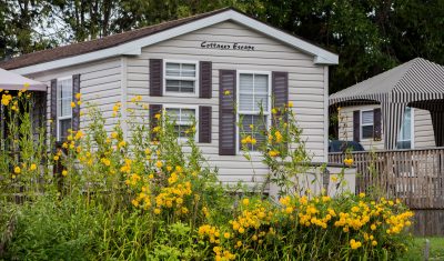 Perfect cottage country living complete with ample nature!