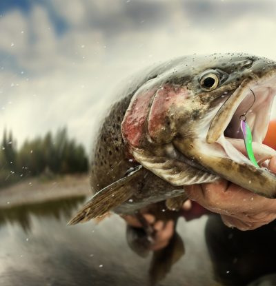 Golden Beach Resort - Fishing on Rice Lake in the Kawarthas