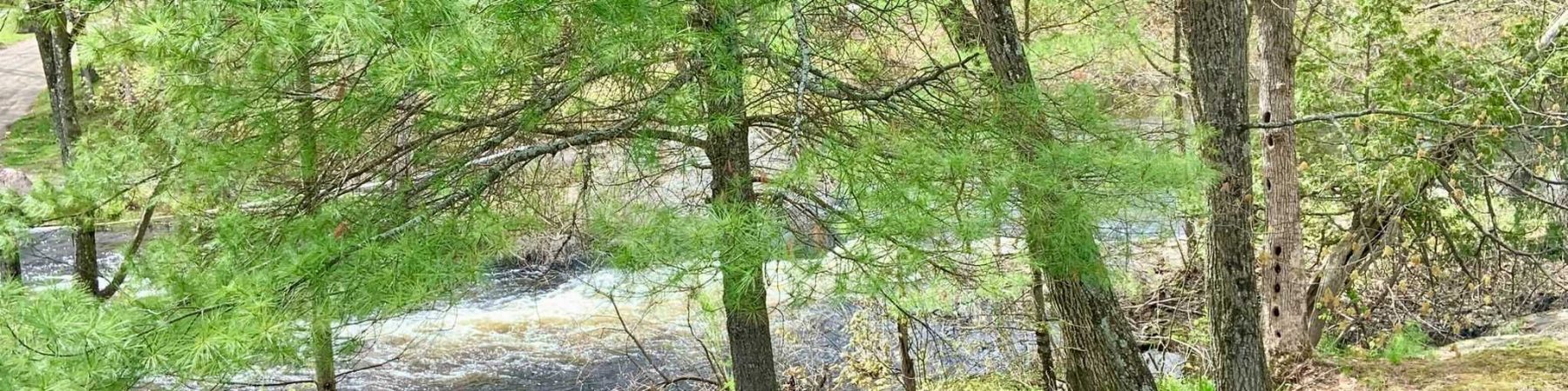 9 Fern Brook