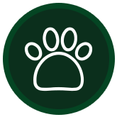 Pet Friendly