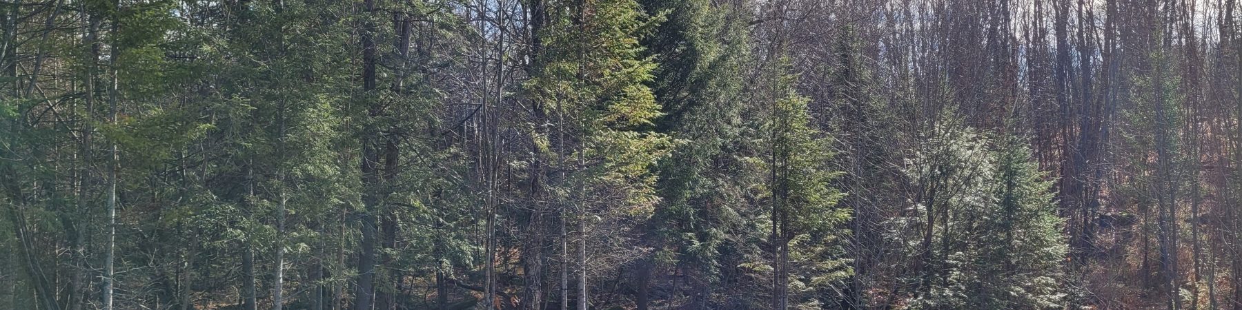 19 Watercrest Way