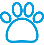 Pet-friendly resorts